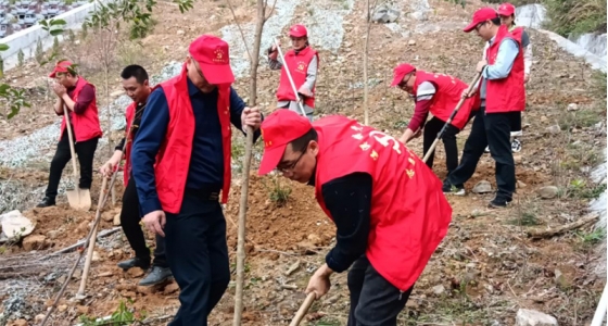 村企共建，共植先锋林