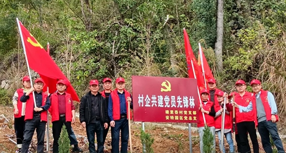 村企共建，共植先锋林