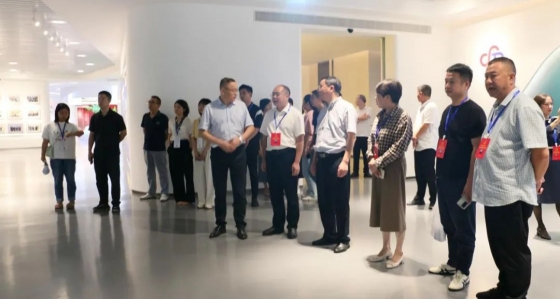 丽水市第五届人大代表景宁中心组调研沙巴公司官网集团